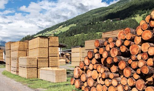 Sägewerk mit Stapeln von Holz, Brettern und Stämmen